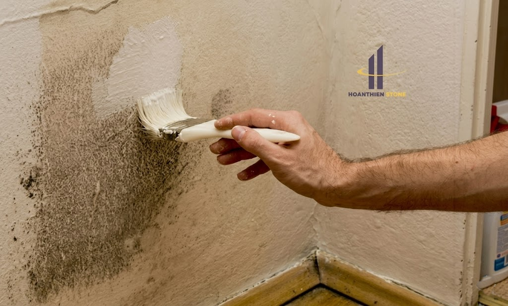 Phù điêu đá có bị rêu mốc không? Cách xử lý hiệu quả